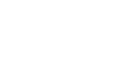 Biruni