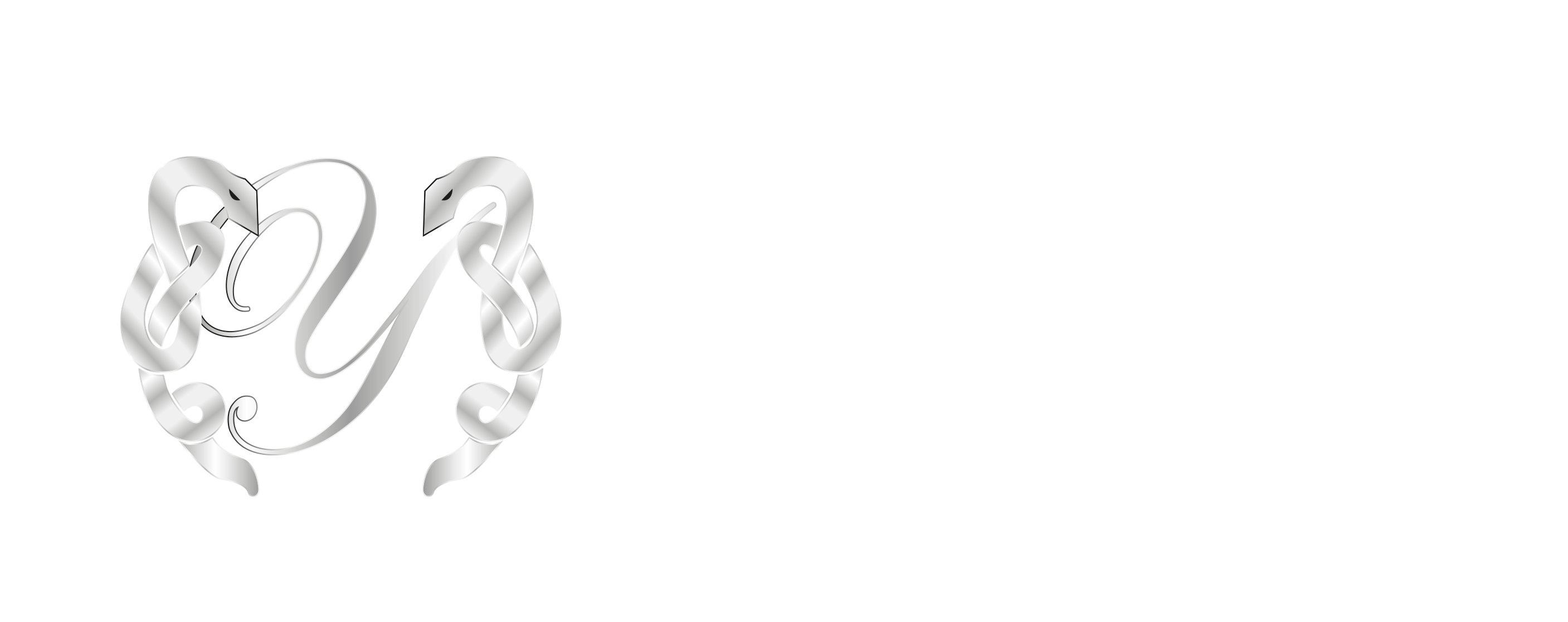 Yeni Yuzyil